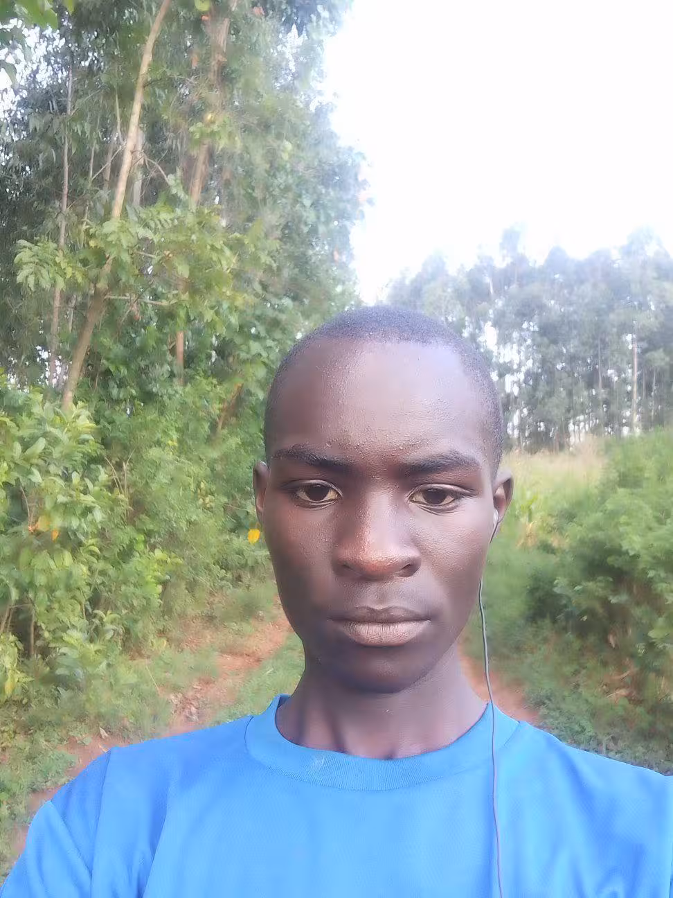 Mrmo